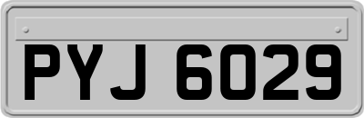 PYJ6029