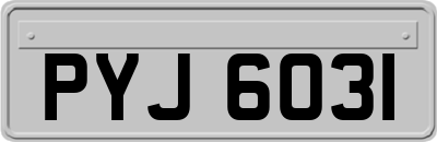 PYJ6031