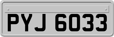 PYJ6033