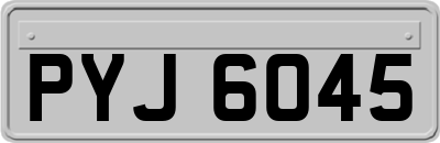 PYJ6045