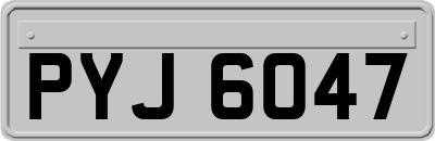 PYJ6047