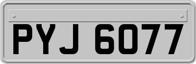 PYJ6077