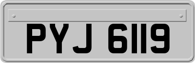 PYJ6119