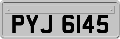 PYJ6145