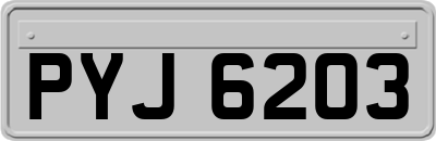 PYJ6203