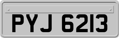 PYJ6213