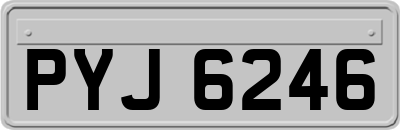 PYJ6246