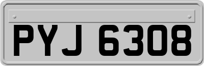 PYJ6308