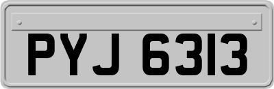 PYJ6313