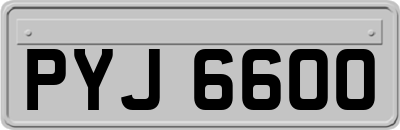 PYJ6600