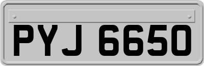 PYJ6650