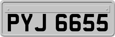 PYJ6655