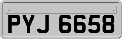 PYJ6658