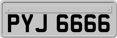 PYJ6666