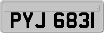 PYJ6831