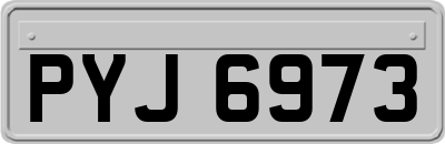 PYJ6973