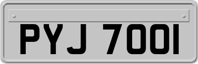 PYJ7001