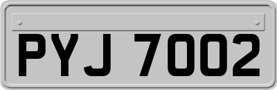 PYJ7002