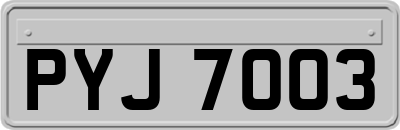 PYJ7003