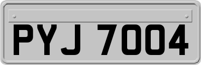PYJ7004