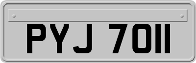 PYJ7011