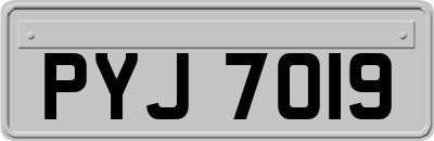 PYJ7019