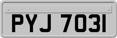 PYJ7031