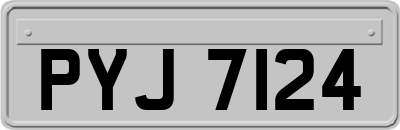 PYJ7124