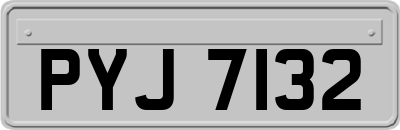 PYJ7132