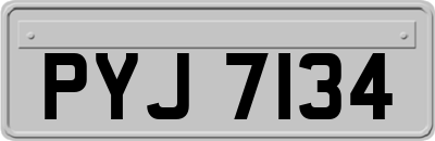 PYJ7134