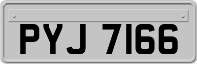 PYJ7166