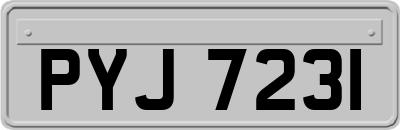 PYJ7231