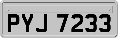 PYJ7233