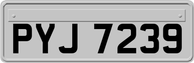 PYJ7239