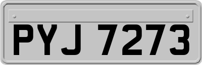 PYJ7273