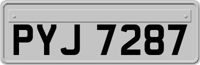 PYJ7287