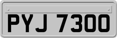 PYJ7300