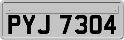 PYJ7304