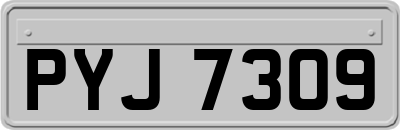 PYJ7309