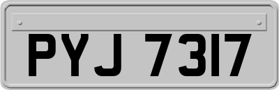 PYJ7317