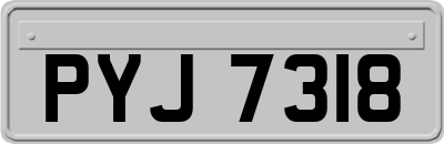 PYJ7318