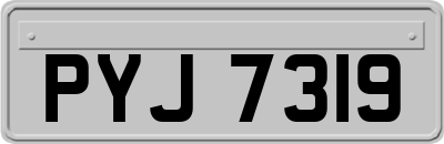 PYJ7319