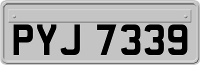 PYJ7339