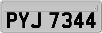 PYJ7344