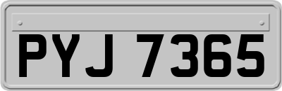 PYJ7365