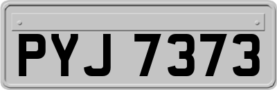 PYJ7373