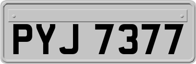 PYJ7377