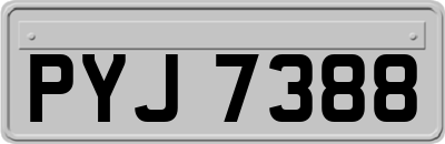 PYJ7388