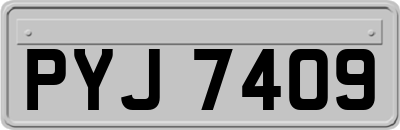 PYJ7409