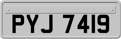 PYJ7419